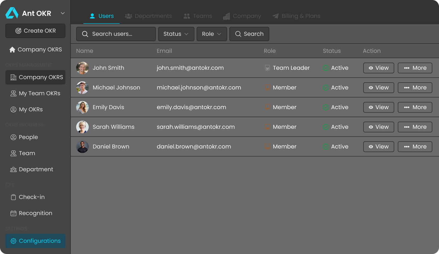 Config company on antokr